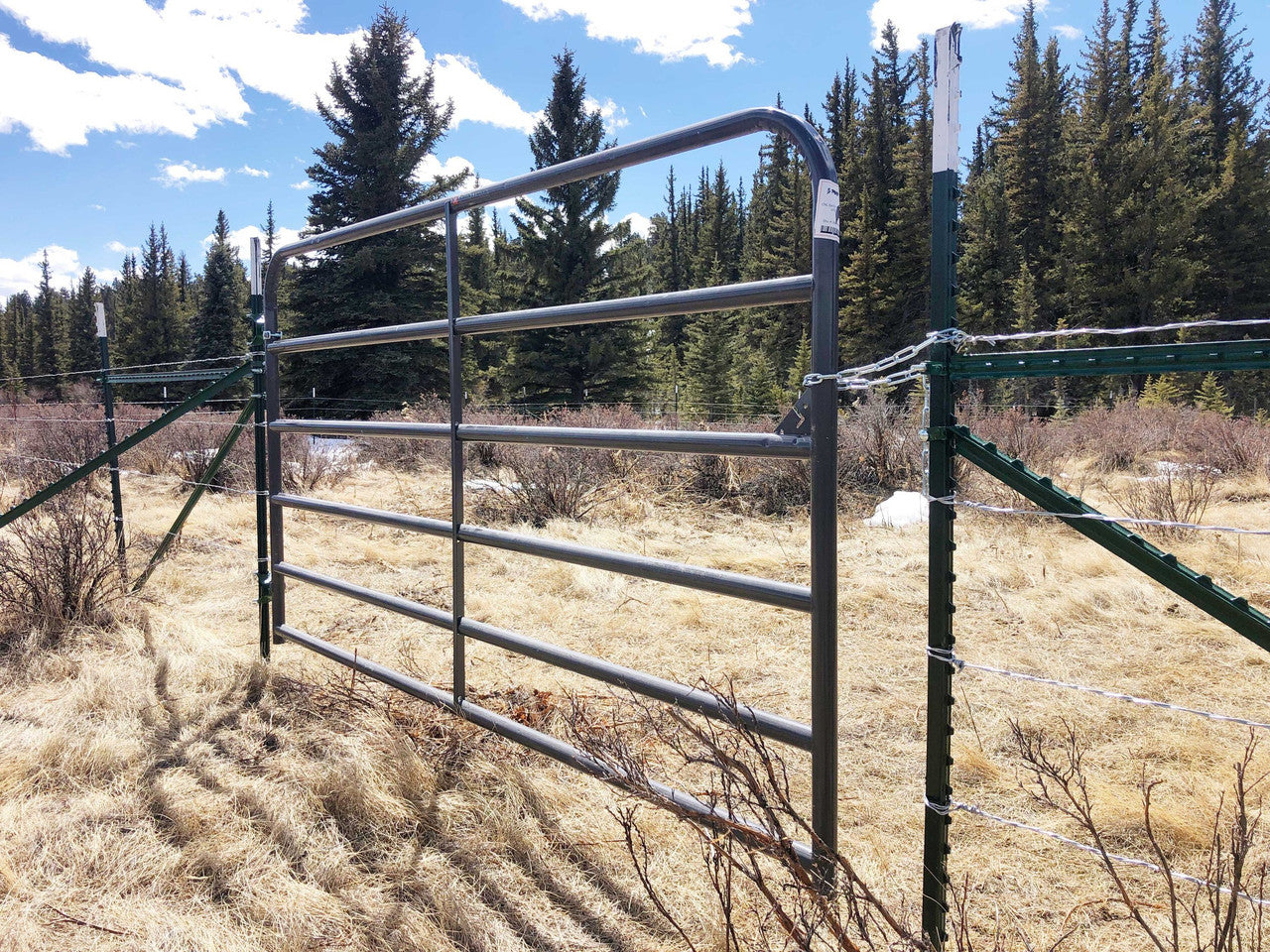 Gate Hinge Pair